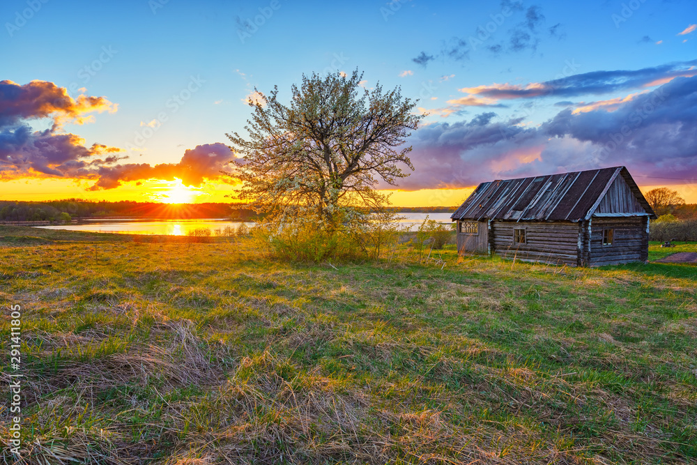 Old wooden hut and lonely tree at sunset in countryside at spring Old wooden hut and lonely tree at sunset in countryside at spring
