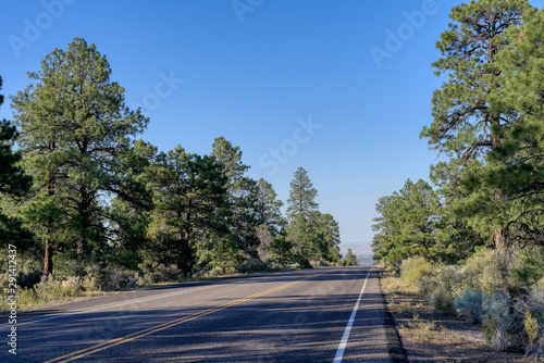 Highway through Sunset Crater Volcano National Monument photo