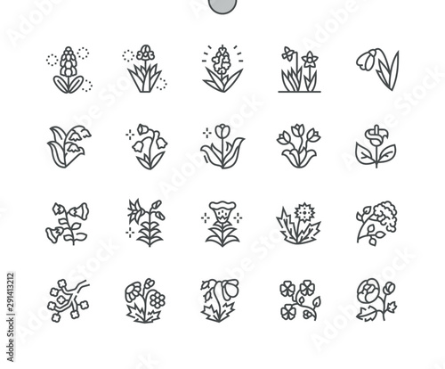 Spring flowers Well-crafted Pixel Perfect Vector Thin Line Icons 30 2x Grid for Web Graphics and Apps. Simple Minimal Pictogram