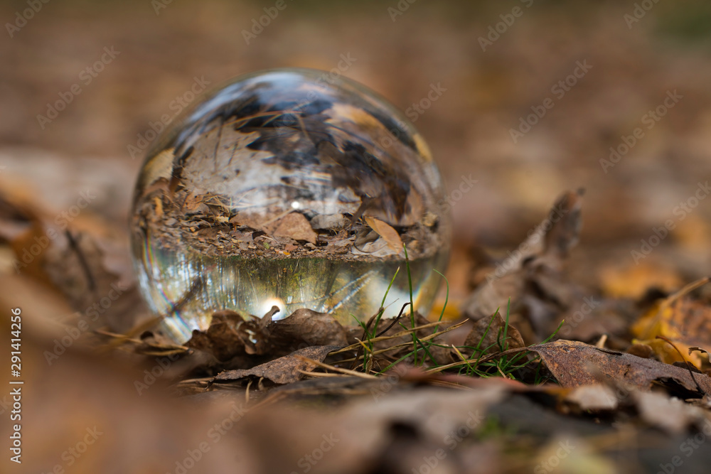 Obraz premium forest through a bruning glass