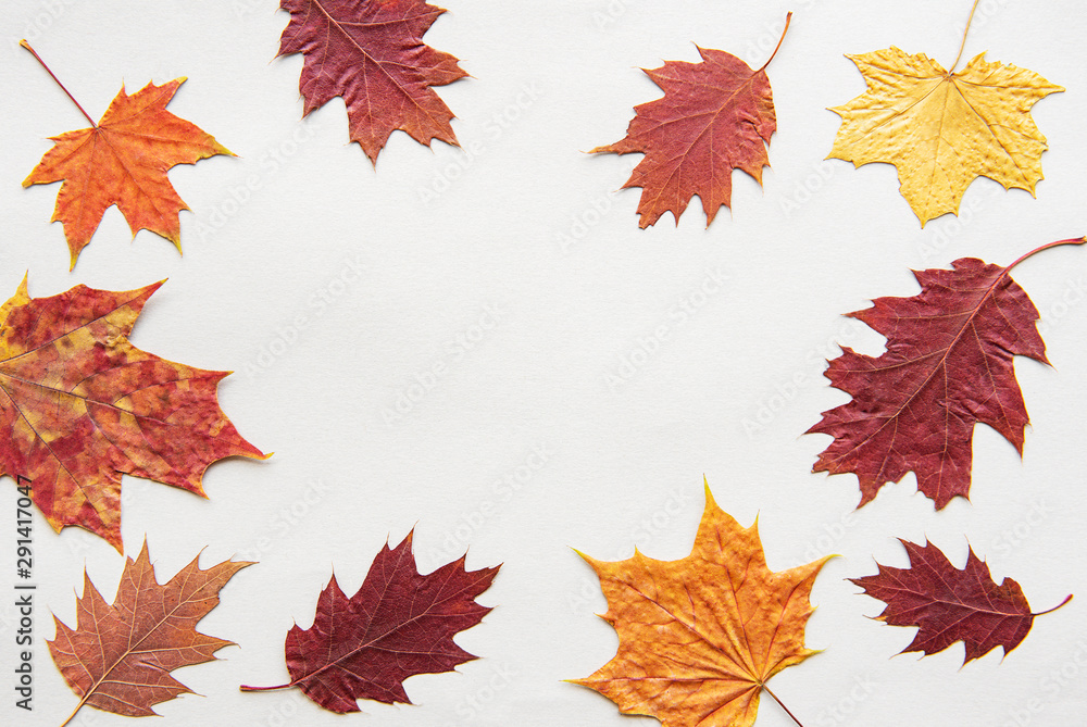 Fototapeta premium Autumn composition