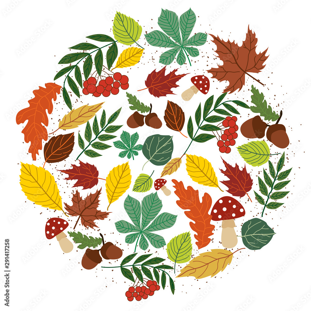 Fototapeta premium Set for design with autumn leaves