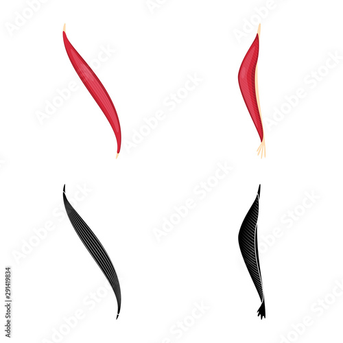 Vector design of fiber and muscular sign. Set of fiber and body stock vector illustration.