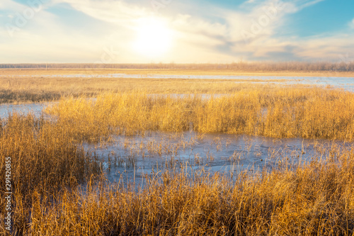 small pond among a wasteland at the sunset