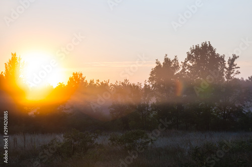 quiet prairie at the sunrise, early morning outdoor scene © Yuriy Kulik