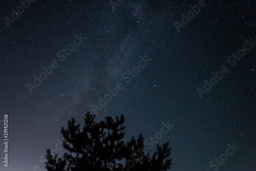 night outdoor scene, pine tree silhouette on a starry sky with milky way background