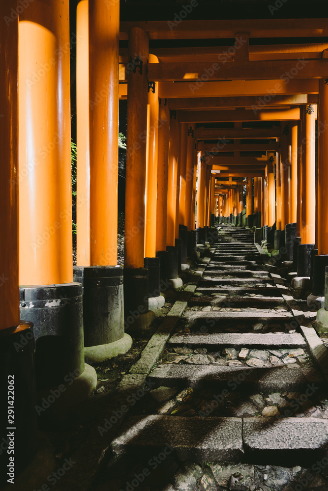 Kyoto Travel : Landscape of Fushimi Inari Shrine Kyoto Travel : Landscape of Fushimi Inari Shrine