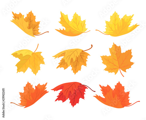 Fotografie, Obraz Set of autumn maple leaves