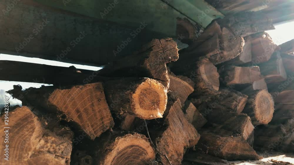 a stack of firewood in the old house illuminated by sunlight from a window, Slow motion a stack of firewood in the old house illuminated by sunlight from a window, Slow motion