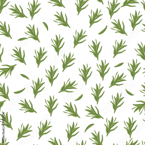  Seamless pattern: isolated green rosemary herb on a white background. Flat vector. Illustration
