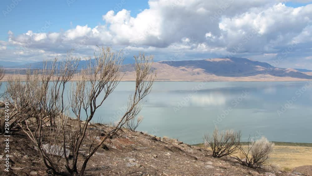 Panning sage brush burned in wildfire overlooking Utah Lake from on West Mountain.