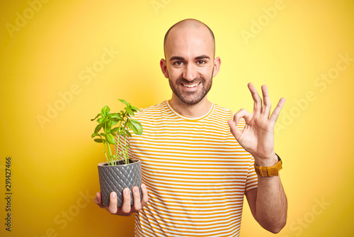 Young man holding basil plat plot over isolated yellow background doing ok sign with fingers, excellent symbol