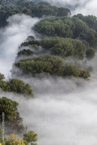 The misty forest, autumn landscape (Italy) © manuel