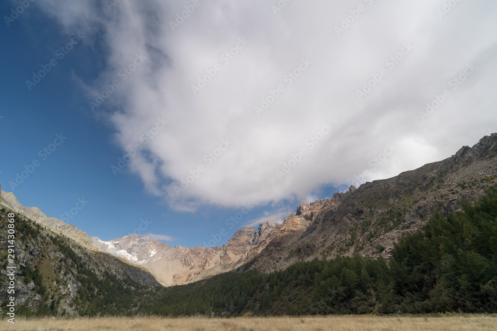 Alps landscape, integral reserve of Predarossa (Italy) Alps landscape, integral reserve of Predarossa (Italy)