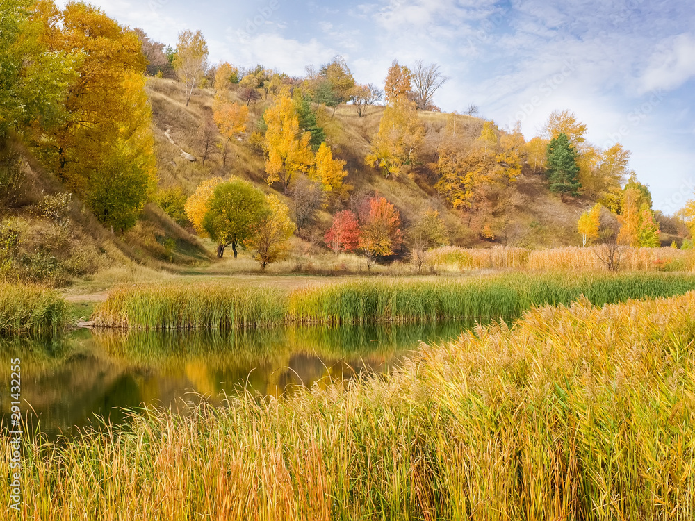 Lake near hillside with shores overgrown with reedmace at autumn Lake near hillside with shores overgrown with reedmace at autumn