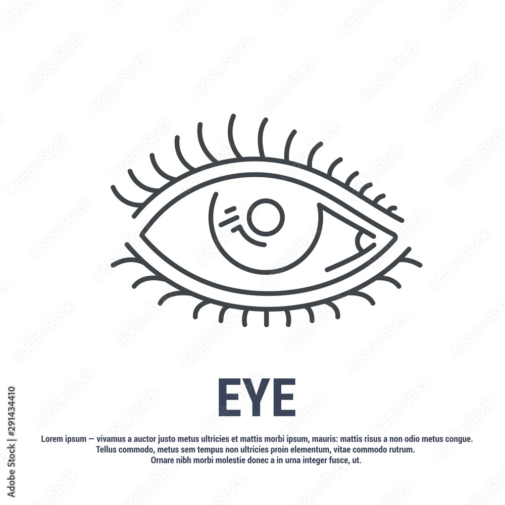 Vector icon. Line design. Eye, eyelashes, eyelid. Anatomical structure of man. Disease and treatment. Symbol, element, sign, logo, emblem. Concept illustration. Vector icon. Line design. Eye, eyelashes, eyelid. Anatomical structure of man. Disease and treatment. Symbol, element, sign, logo, emblem. Concept illustration.
