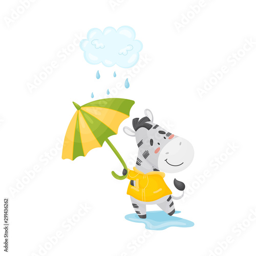 Small humanized zebra walks in the rain. Vector illustration.