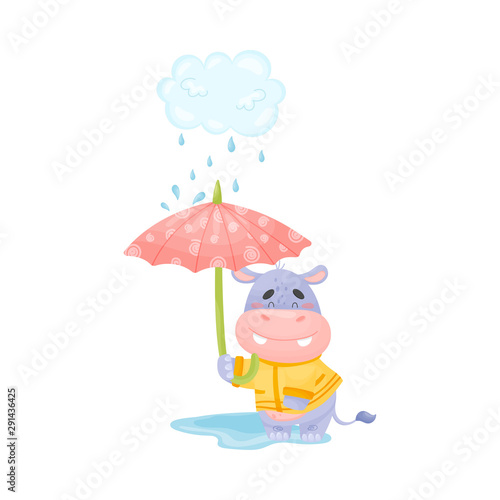 Cartoon hippo stands with an umbrella in the rain. Vector illustration.