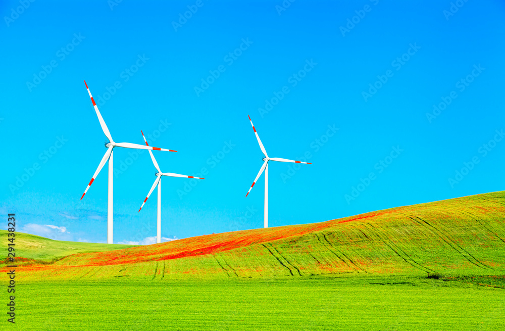 Fototapeta premium Wind electricity generators in spring fields.