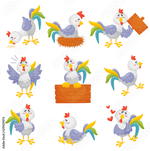 Set of different gray roosters. Vector illustration on a white background.