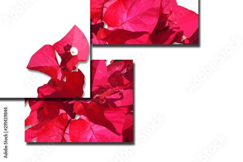 flower designs for wedding invitations and party invitations, flower elements, pink and red