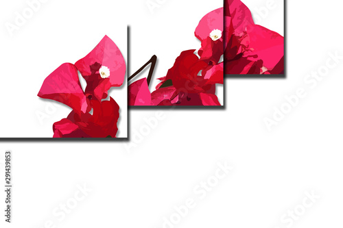 flower designs for wedding invitations and party invitations, flower elements, pink and red