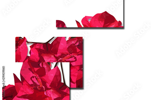 flower designs for wedding invitations and party invitations, flower elements, pink and red