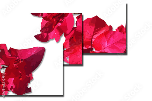 flower designs for wedding invitations and party invitations, flower elements, pink and red