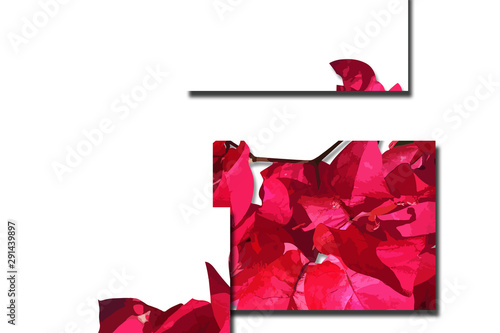 flower designs for wedding invitations and party invitations, flower elements, pink and red