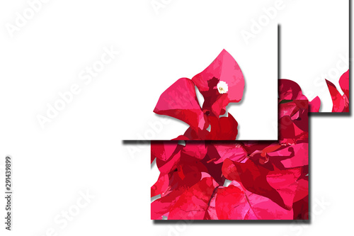 flower designs for wedding invitations and party invitations, flower elements, pink and red