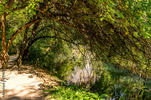  River Gold Panega  Bulgaria. Beautiful river at the end of summer.