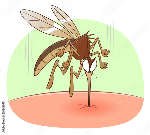 Mosquito biting human skin