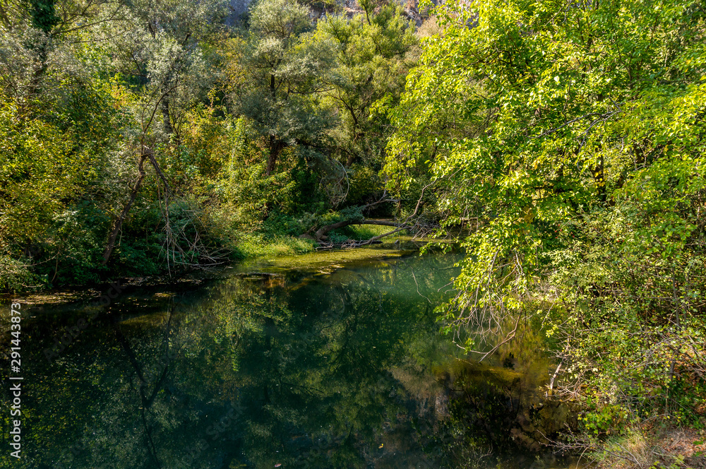  River Gold Panega, Bulgaria. Beautiful river at the end of summer.