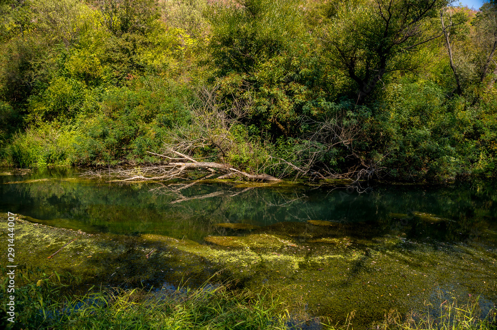 River Gold Panega, Bulgaria. Beautiful river at the end of summer. River Gold Panega, Bulgaria. Beautiful river at the end of summer.