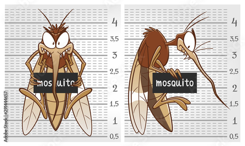 Mosquito on police lineup