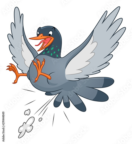 Snide pigeon