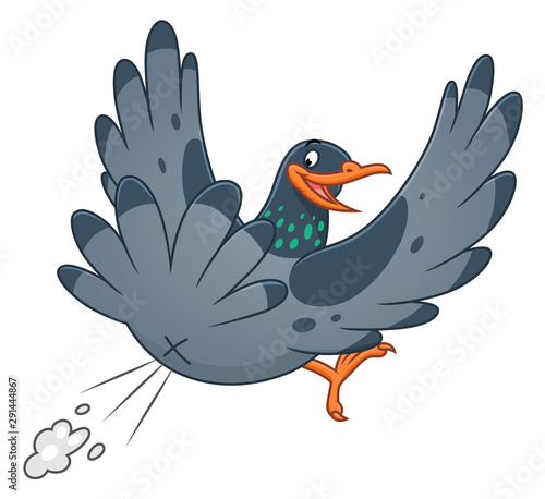 Snide pigeon two