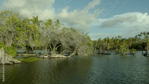 Hawaii Mauna Lani Ponds Walkway Tress and greenery Big Island Auberge Hotel photo