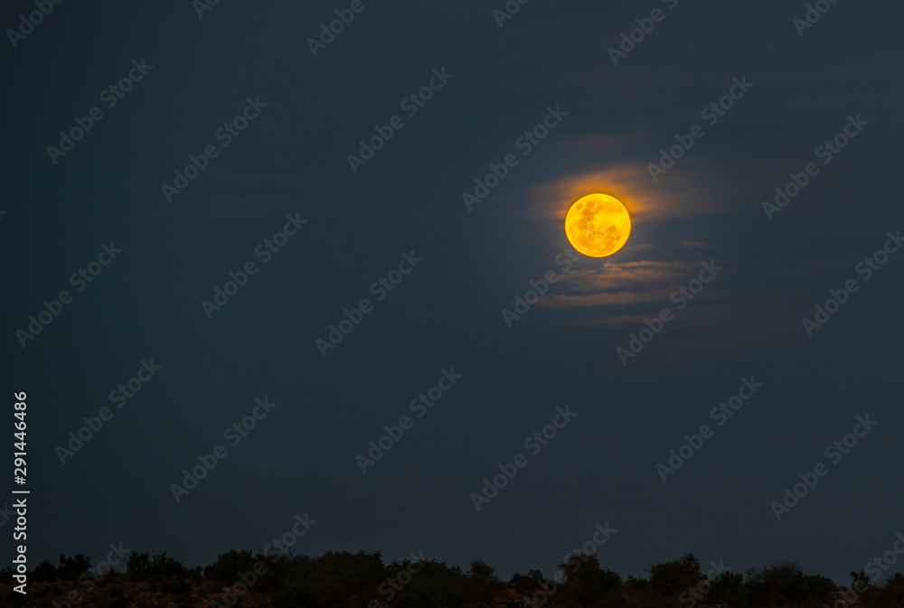 Moon set outside Steytlerville in the dry and arid Karoo area of South Africa Moon set outside Steytlerville in the dry and arid Karoo area of South Africa
