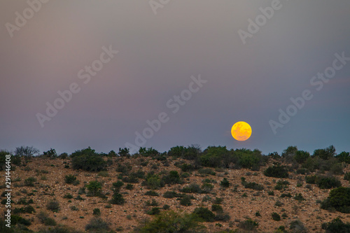 Moon set outside Steytlerville in the dry and arid Karoo area of South Africa