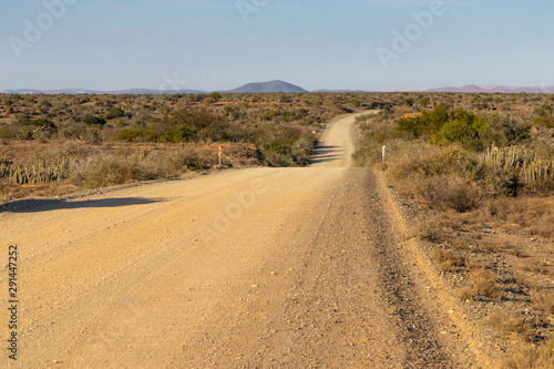 Semi arid Karoo region in the Eastern Cape province of South Africa.