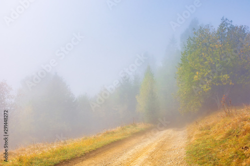 dirt road through the meadow at foggy sunrise. beautiful autumn scenery with forest in the morning. wonderful nature background in misty weather.