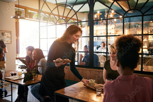 Fotografie, Obraz Young waitress serving food to a table of smiling customers