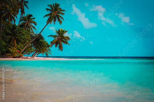 tropical sand beach with palm trees, beach vacation concept