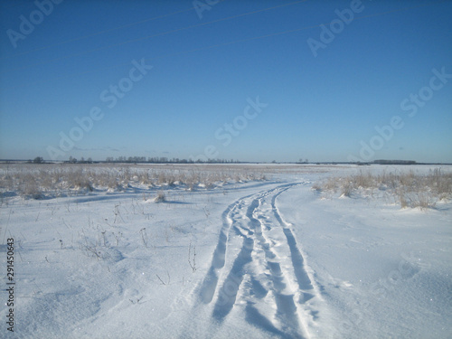 Winter road in a clean flat field on a clear frosty day. The sky is clear  blue and transparent. Snow covered the field in an endless carpet. The ruts of the road cut through the snowy surface.