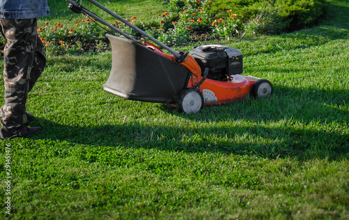 Worker mows grass on a lawn with a lawn mower in a garden.