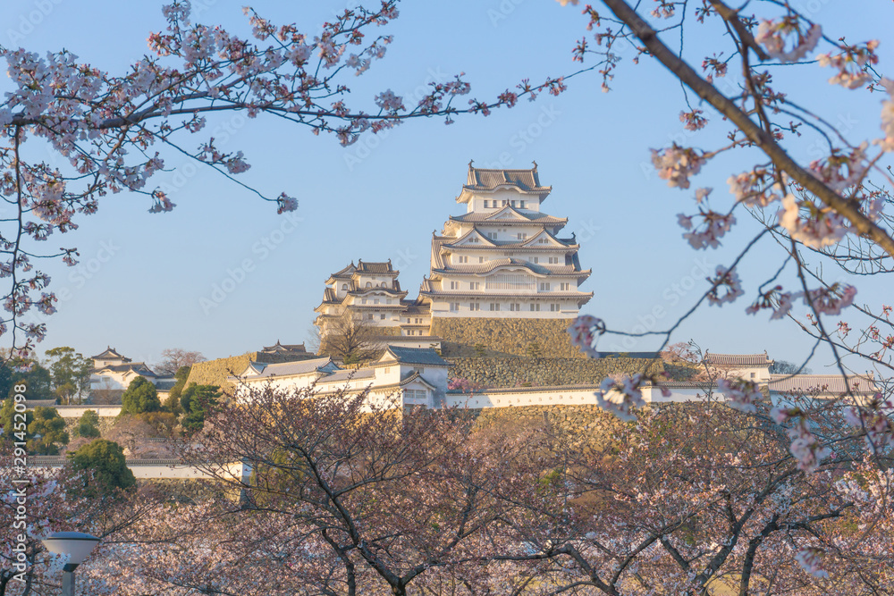 Himeji castle with sakura blooming season Himeji castle with sakura blooming season