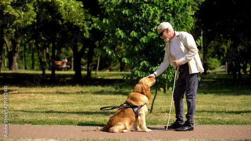Fotografía Blind man training guide dog in park, giving obedience commands, impairment