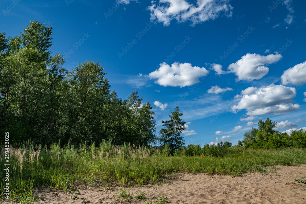 summer, warm, clear, serene, day, trip, journey, walk, rest, nature, flora, landscape, landscape, greenery, trees, thickets, grass, grasses, shade, off, sun, sand, path, blue, sky, white, clouds, spac summer, warm, clear, serene, day, trip, journey, walk, rest, nature, flora, landscape, landscape, greenery, trees, thickets, grass, grasses, shade, off, sun, sand, path, blue, sky, white, clouds, spac