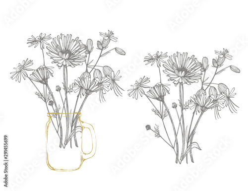 Blue Cornflower Herb or bachelor button flower bouquet isolated on white back...